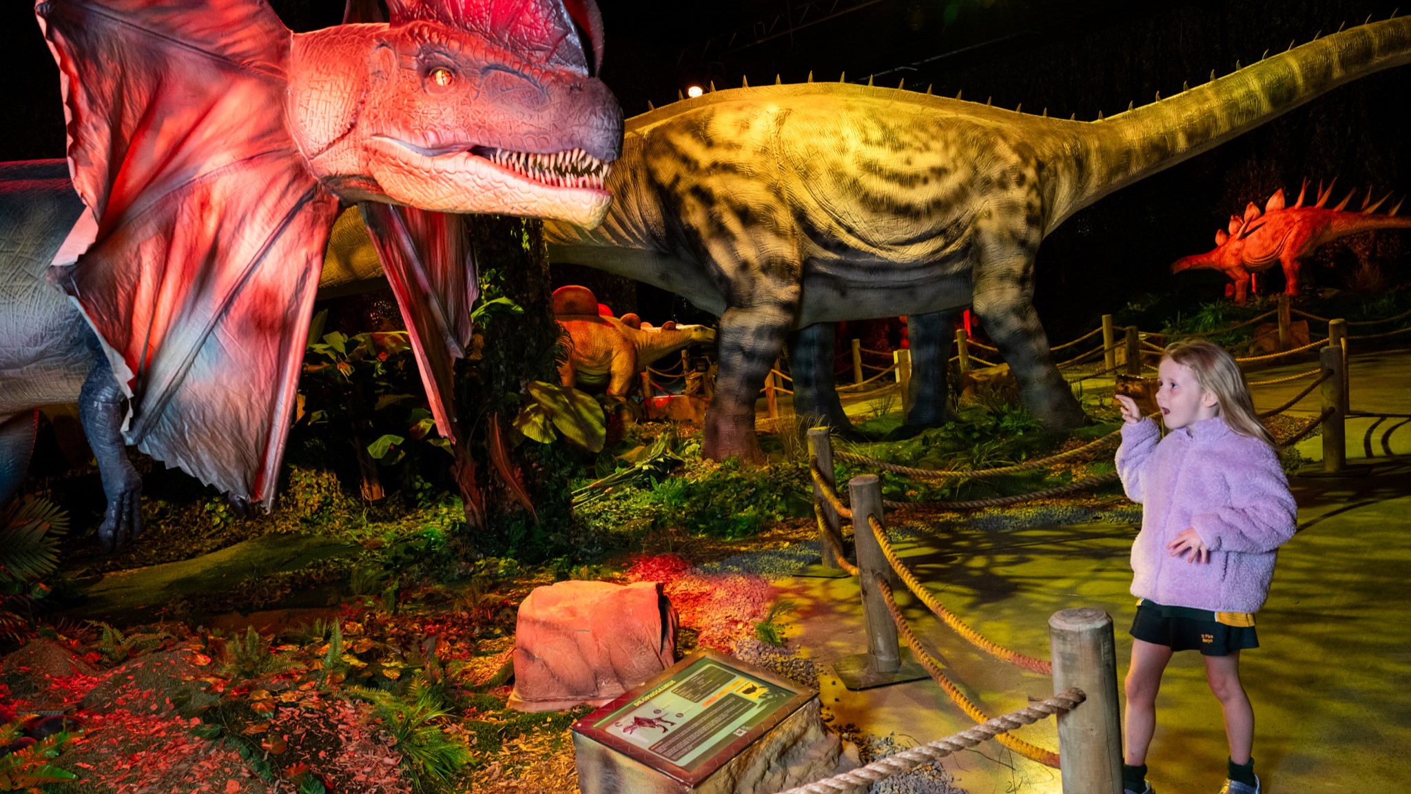 A child looking at the Dinos Alive experience