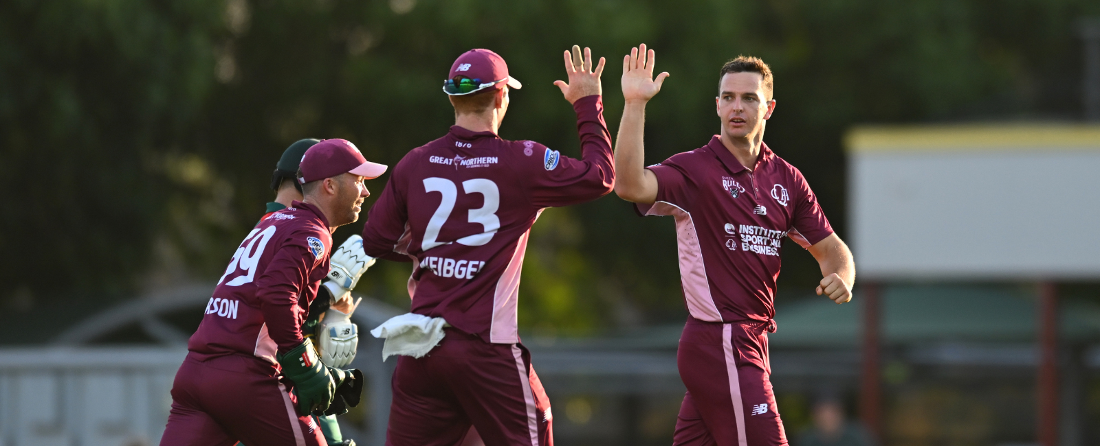 Queensland Bulls