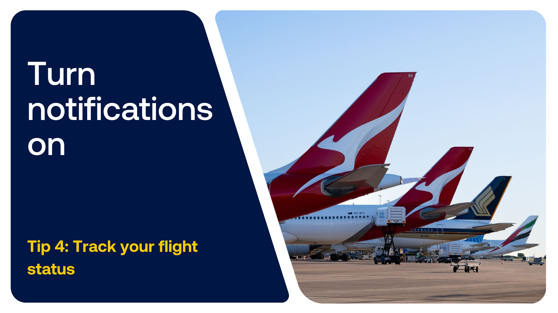 Plane tails at Brisbane Airport