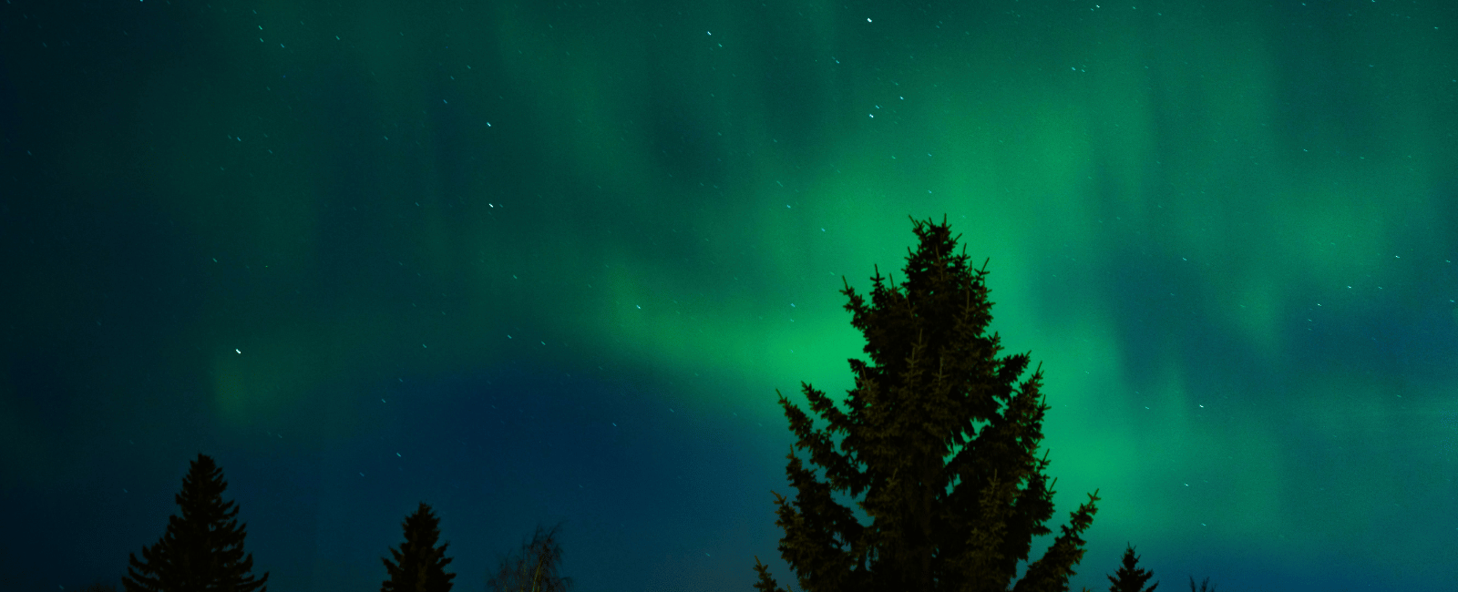 Northern lights in Alberta