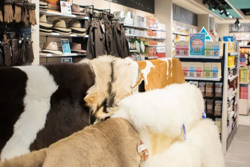 Australian Way Brisbane Airport