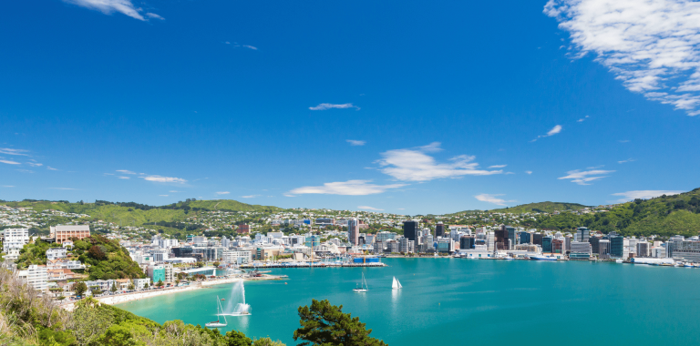 Wellington city and ocean with sail boats