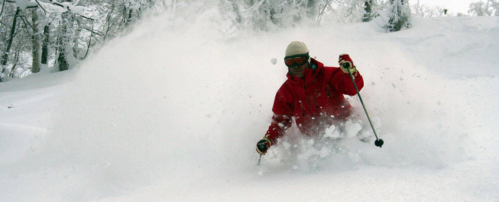 Powder Skiing at Furano, Hokkaido | Winter in Sapporo