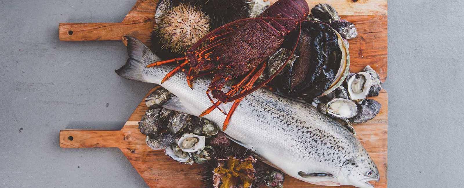 Seafood served fresh on a Tasmanian Wild Seafood Adventures tour | Seafood safari in Tasmania