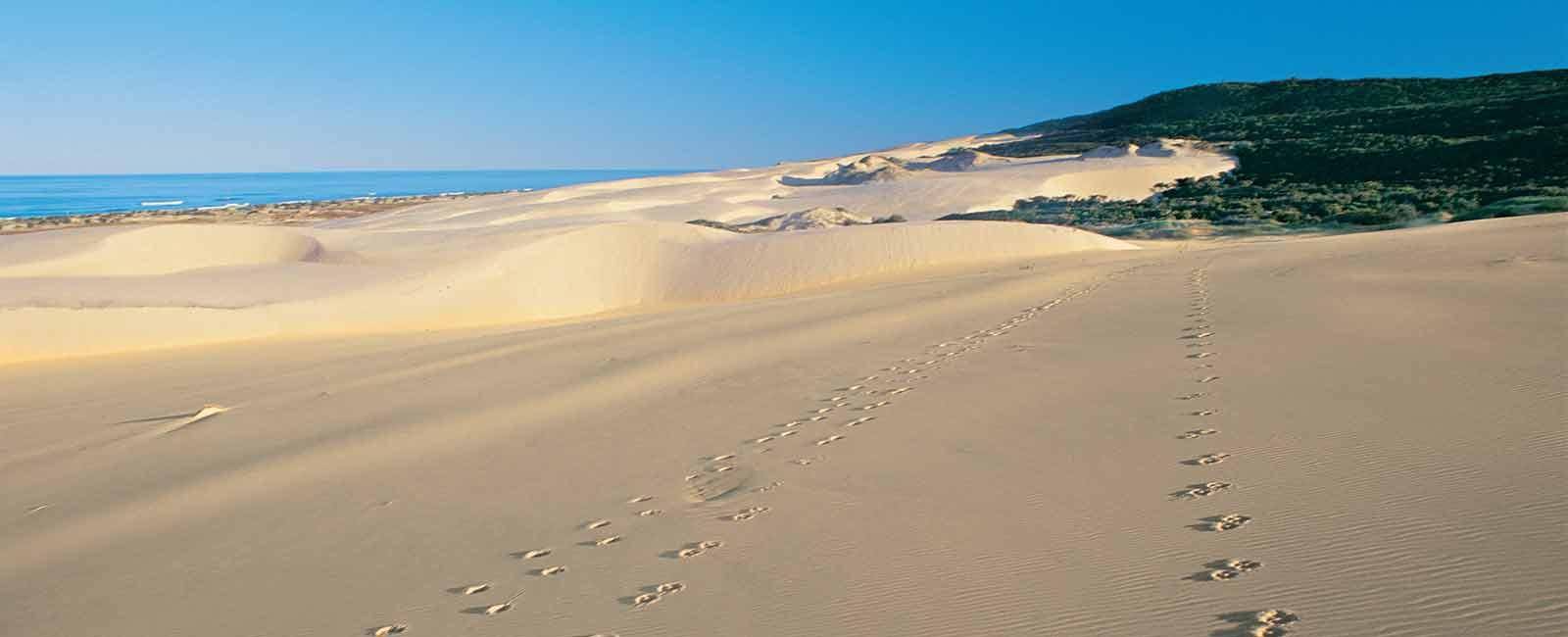 Leave only footprints