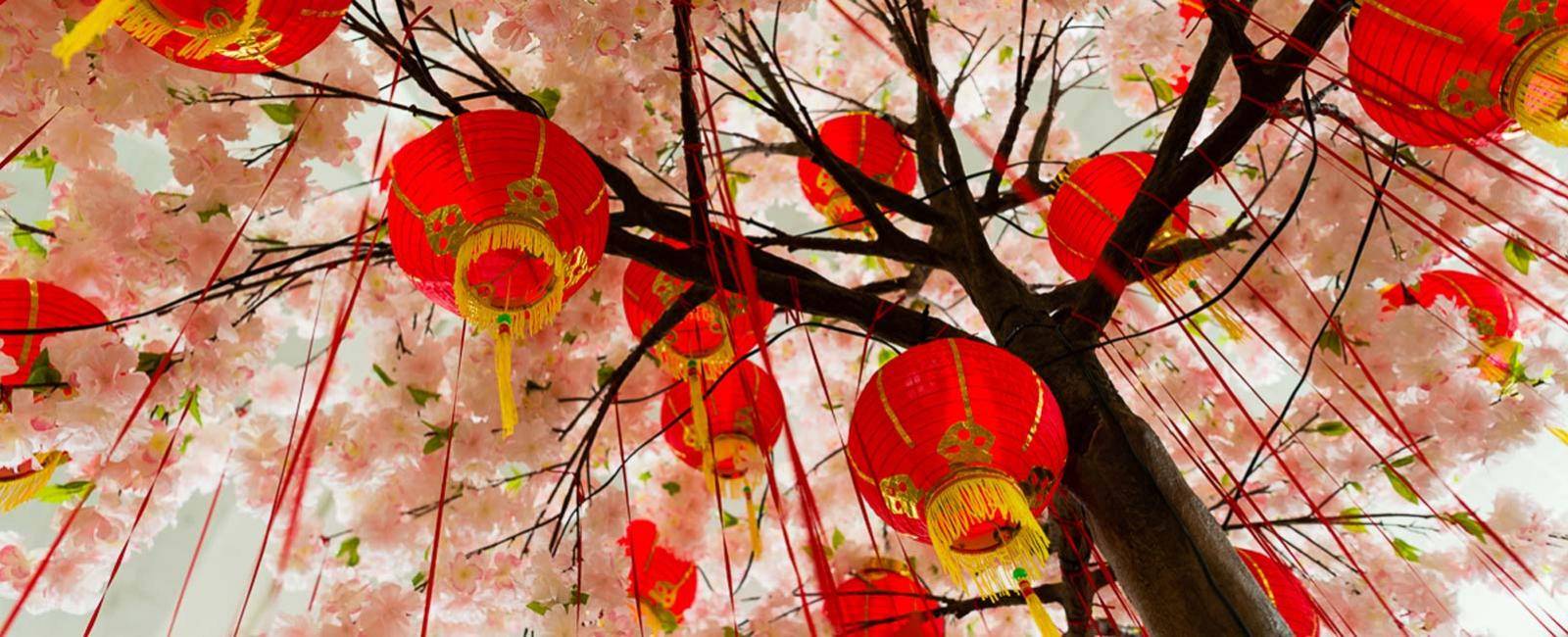 Celebrating Chinese holidays | Brisbane Airport