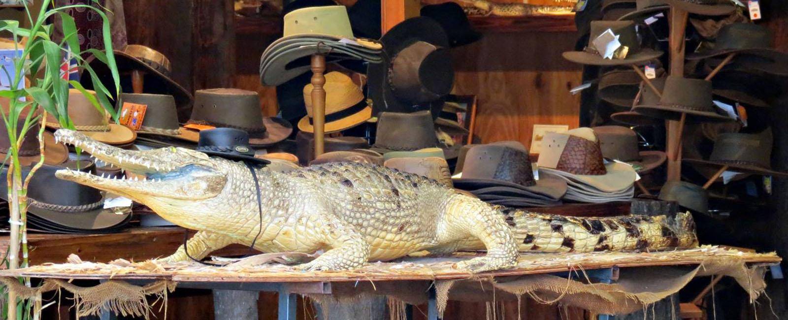 Crocodile in Kuranda markets