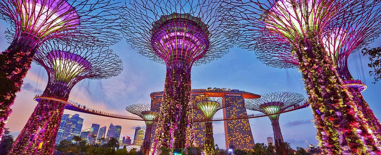 Gardens by the Bay is a must-do experience in Singapore