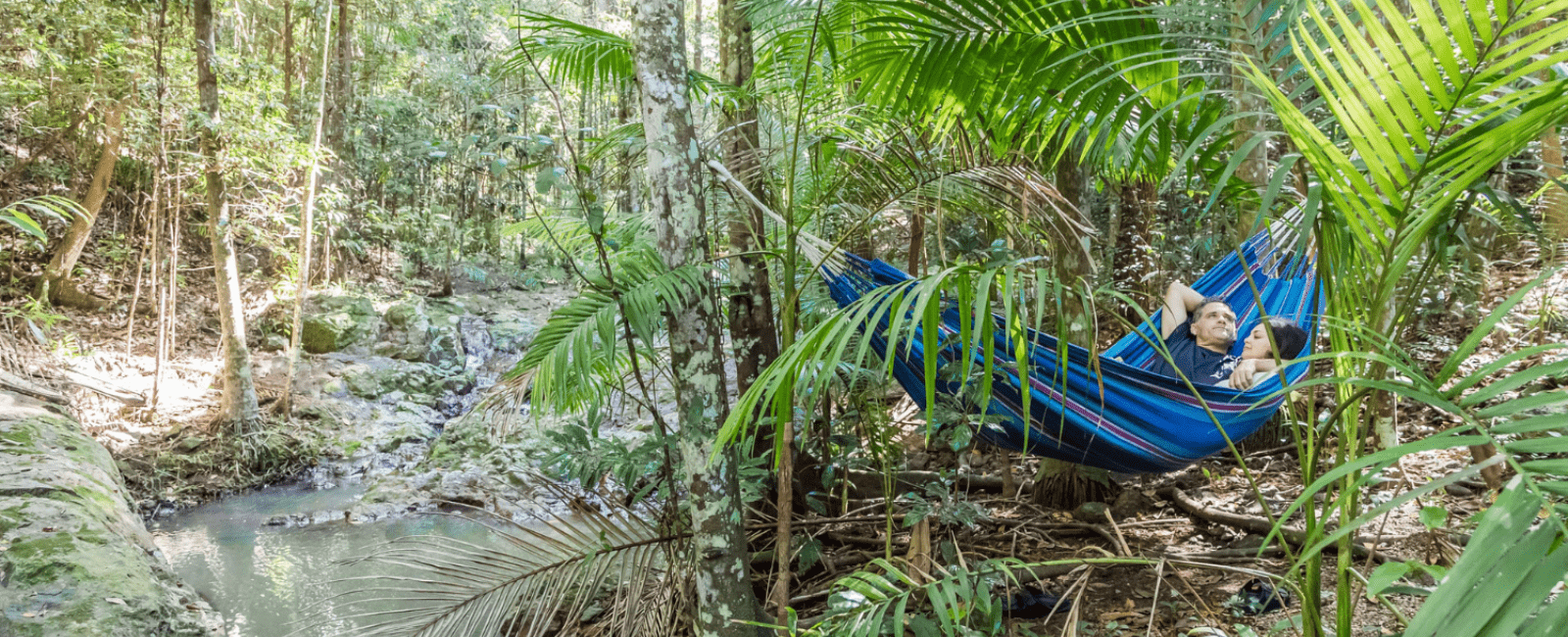 Two people in hammock at Narrows Escape Rainforest Retreat
