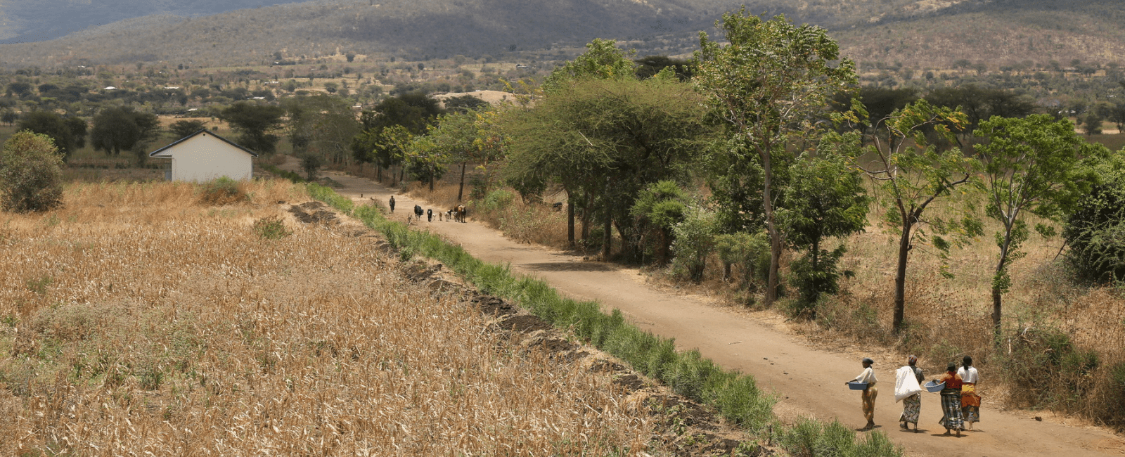People walking down a road in Tanzania