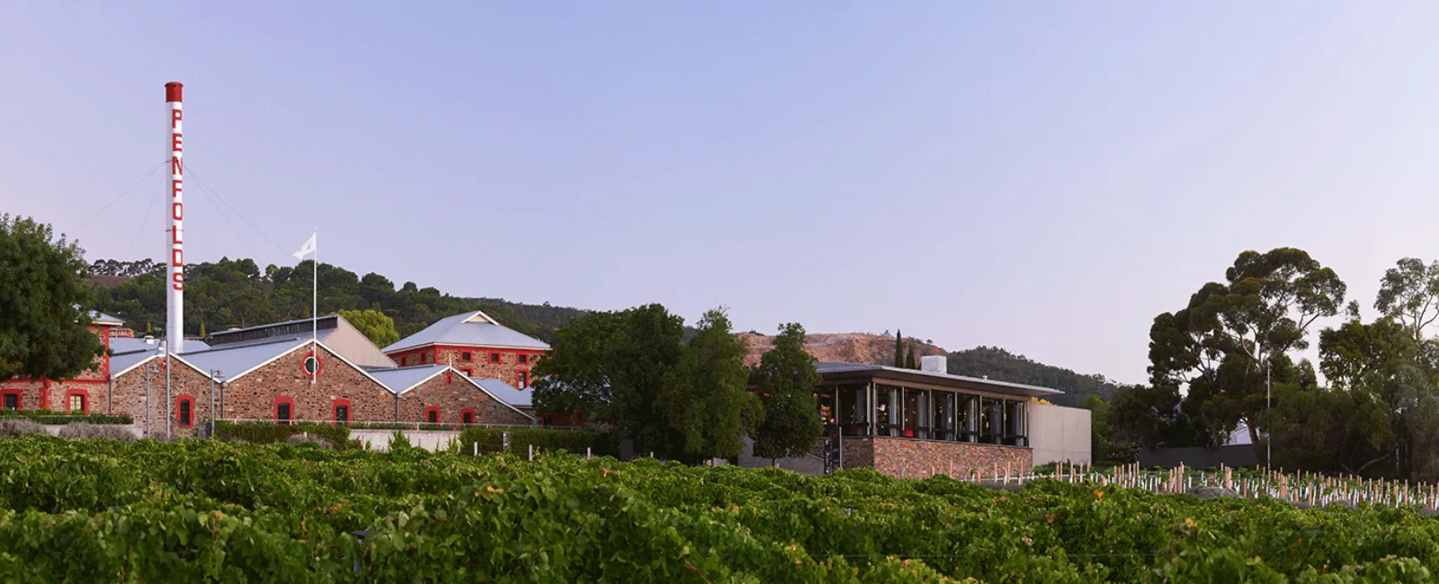 Vineyards of Penfolds Magill Estate