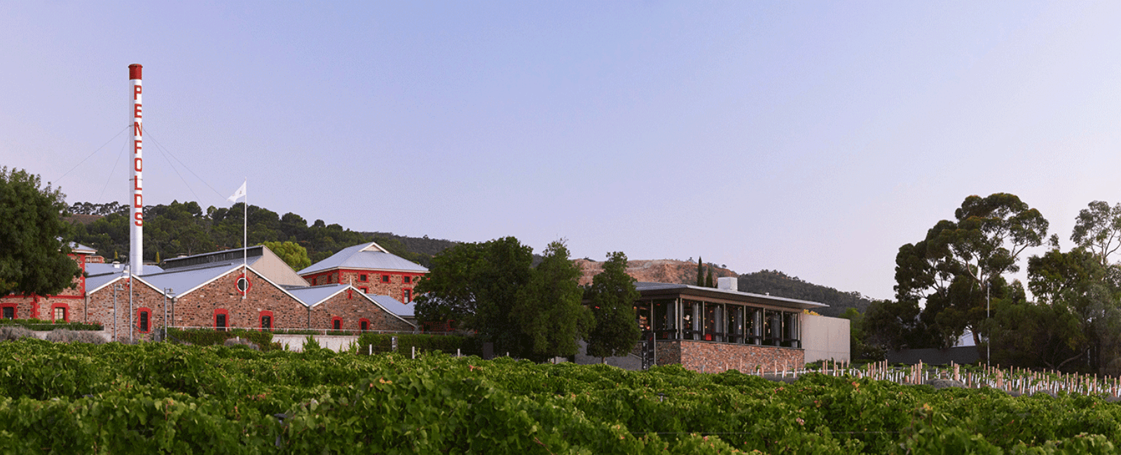 Vineyards of Penfolds Magill Estate