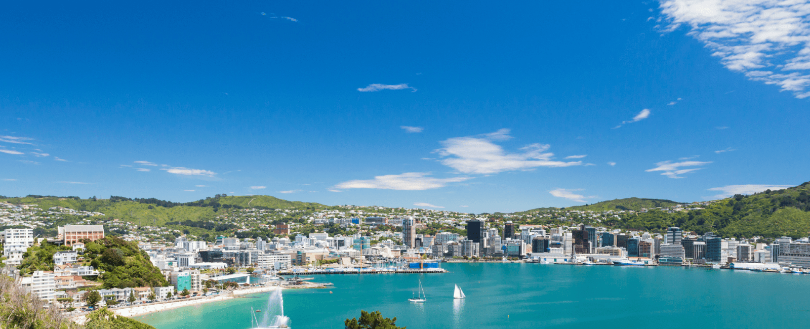 Wellington city and ocean with sail boats