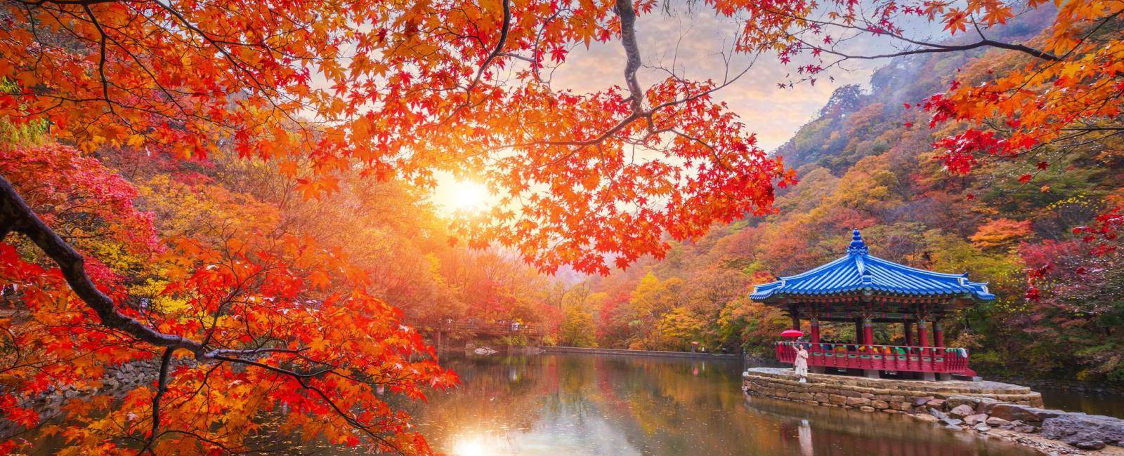 A pavilion in the middle of a small embankment at sunset and colorful autumn leaves at Naejangsan national park, South Korea.