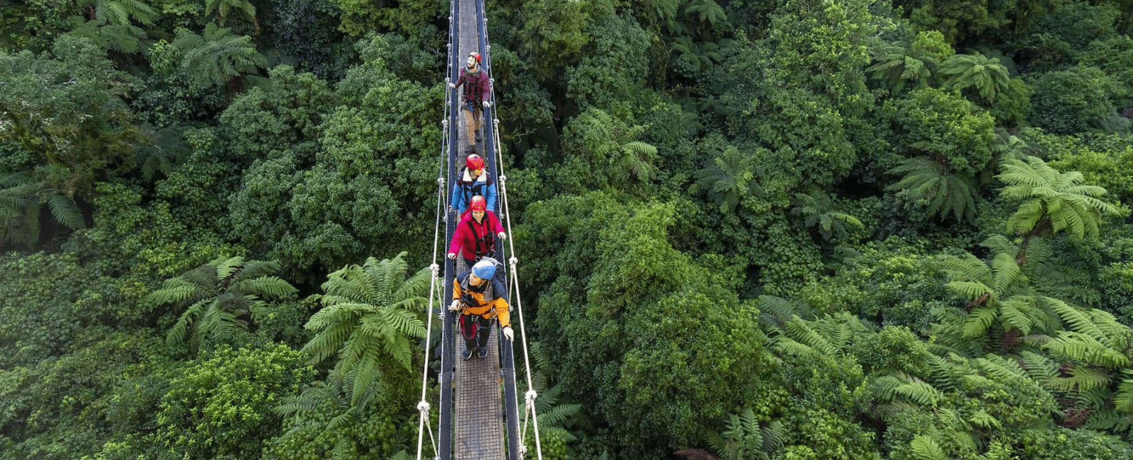 Rotorua Canopy Tour
