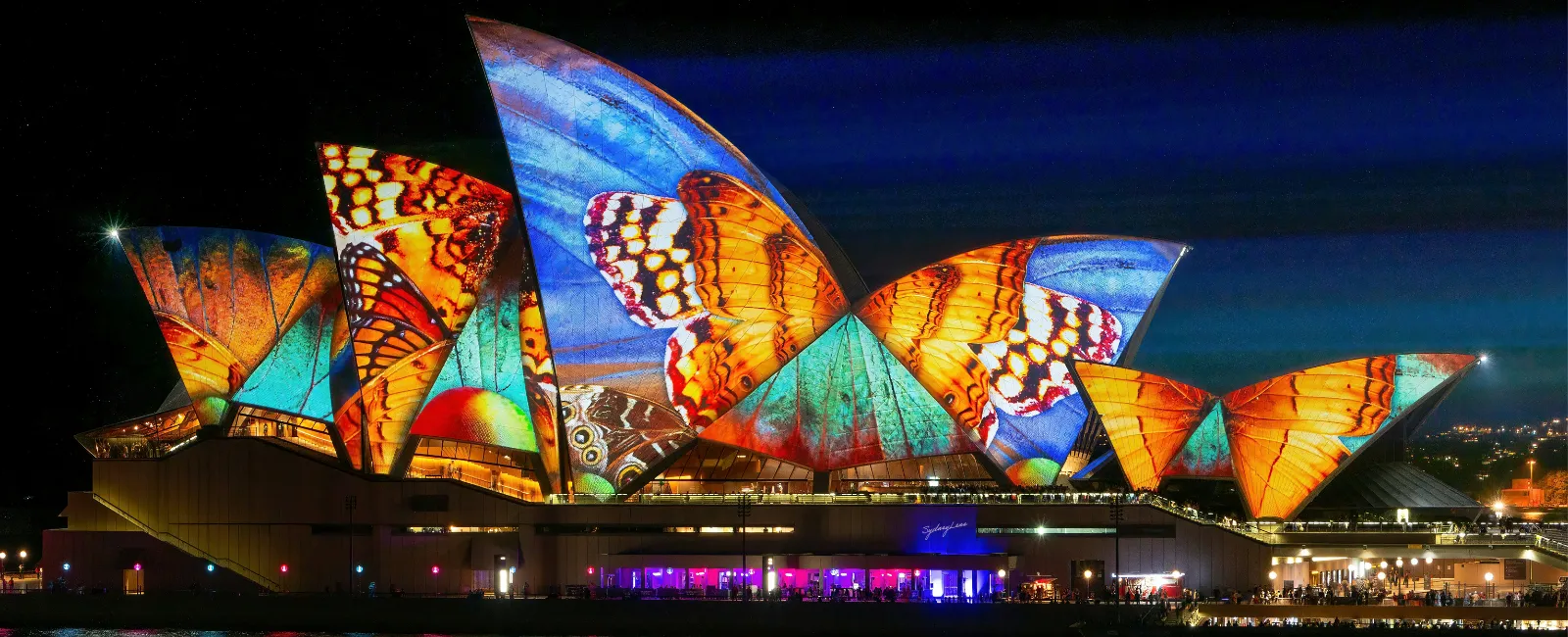 Artistic projections on the Sydney Opera House
