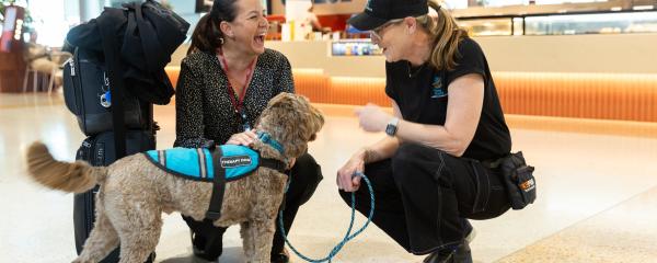 A therapy dog and their handler interreacting with a traveller who is laughing