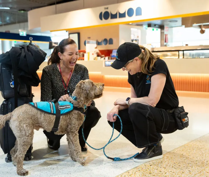 Passenger stopping to pet a therapy dog who is being held by his handler