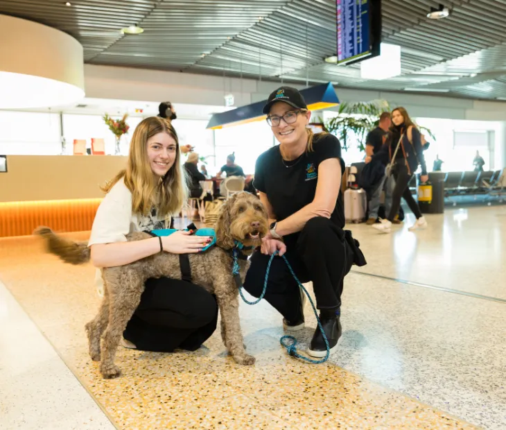Therapy Dogs at Brisbane Airport