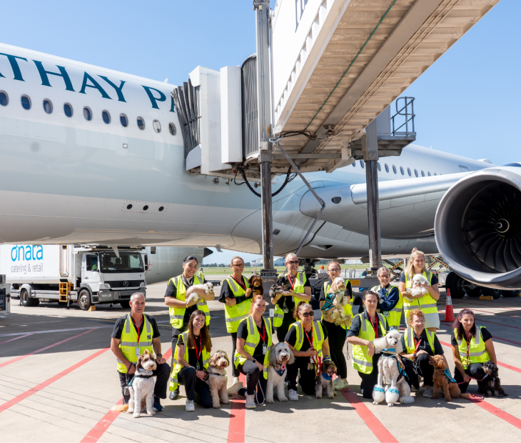 Therapy Dogs airside in front of Cathay Pacific Plane Therapy Dogs airside in front of Cathay Pacific Plane