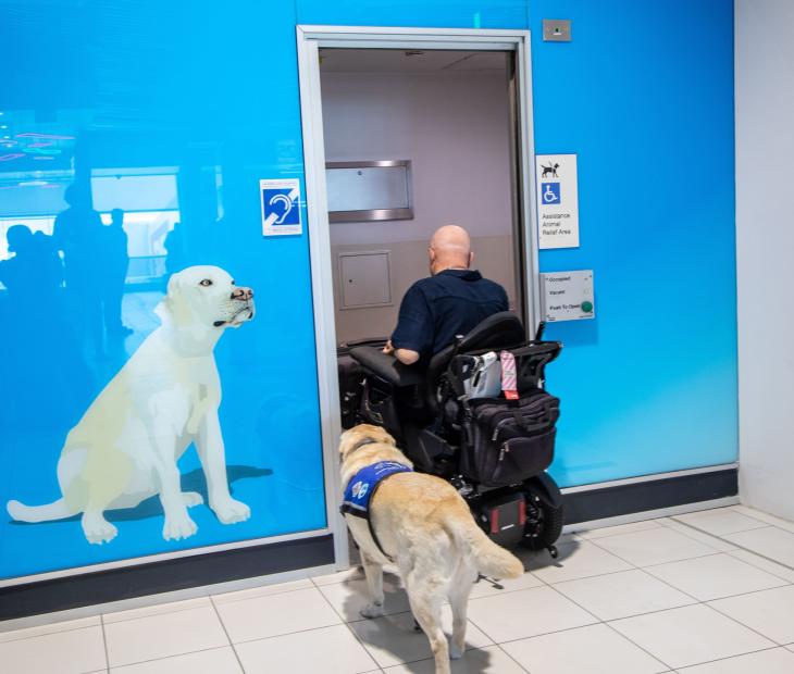 Assistance Animal facilities at the Domestic Terminal