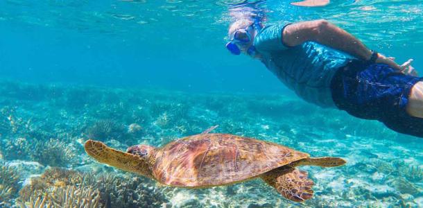 Lady Elliot Island | Image: Tourism and Events Queensland