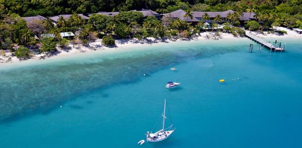 Fitzroy Island Resort, Great Barrier Reef, Queensland | The trees helping to save the reef