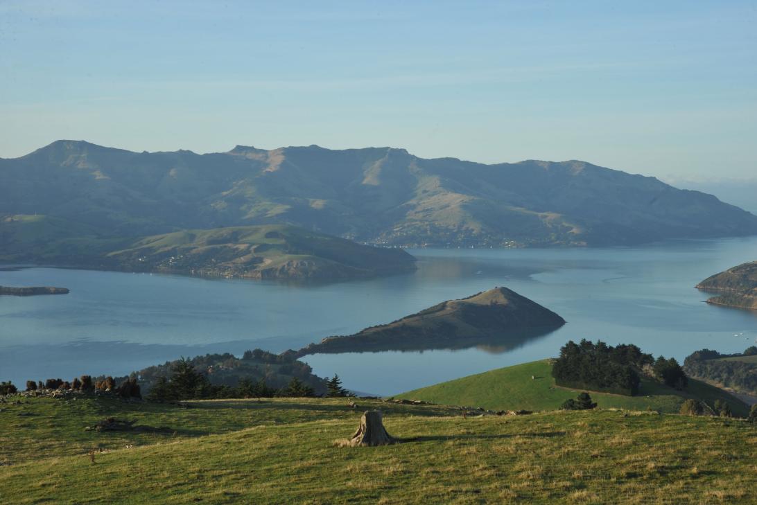 NZ Christchuch Harbour