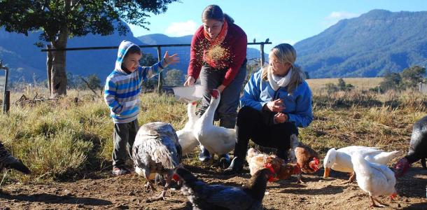 Cedar Glen farm stay at Beaudesert is a working family farm