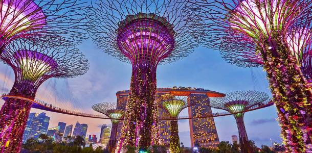 Gardens by the Bay is a must-do experience in Singapore