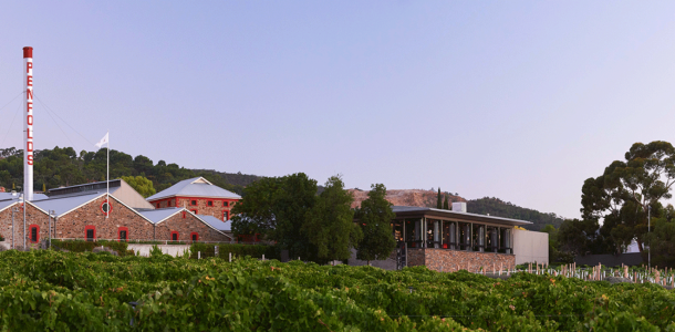 Vineyards of Penfolds Magill Estate