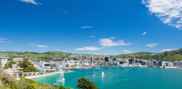 Wellington city and ocean with sail boats