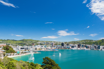 Wellington city and ocean with sail boats