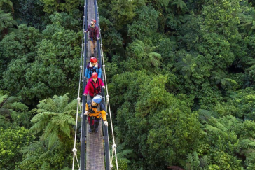 Rotorua Canopy Tour