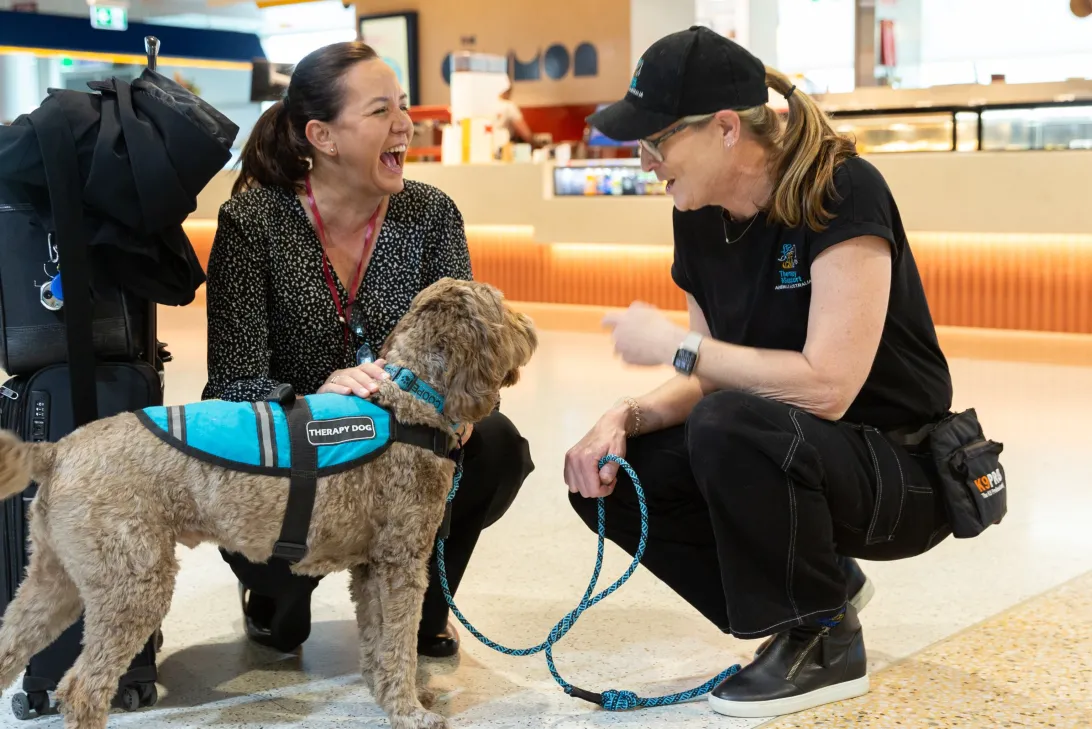 A therapy dog and their handler interreacting with a traveller who is laughing