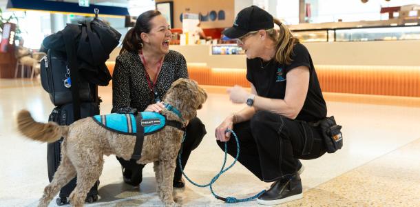 A therapy dog and their handler interreacting with a traveller who is laughing