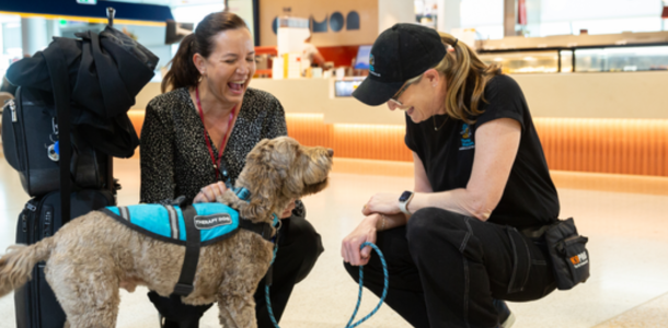Therapy dog with handlers at Brisbane Airport