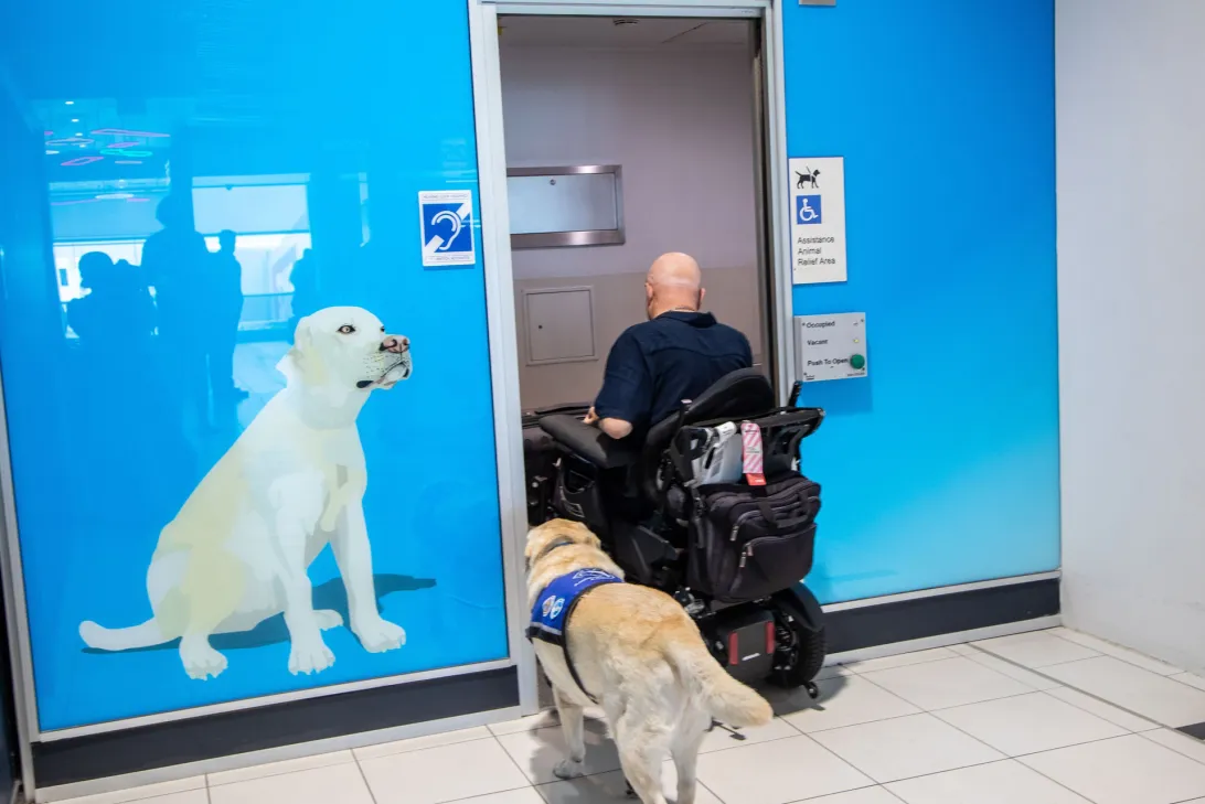 Assistance Animal facilities at the Domestic Terminal