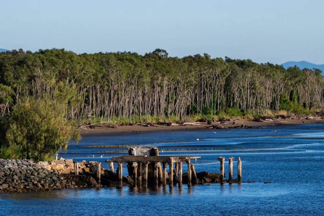 Remains of Cribb Island, edge of Brisbane Airport