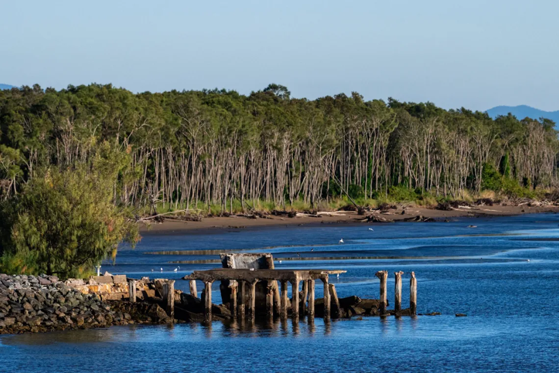 Remains of Cribb Island, edge of Brisbane Airport