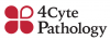 4Cyte Pathology 4Cyte Pathology