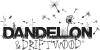Dandelion & Driftwood logo